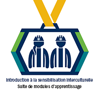 Introduction à la sensibilisation interculturelle