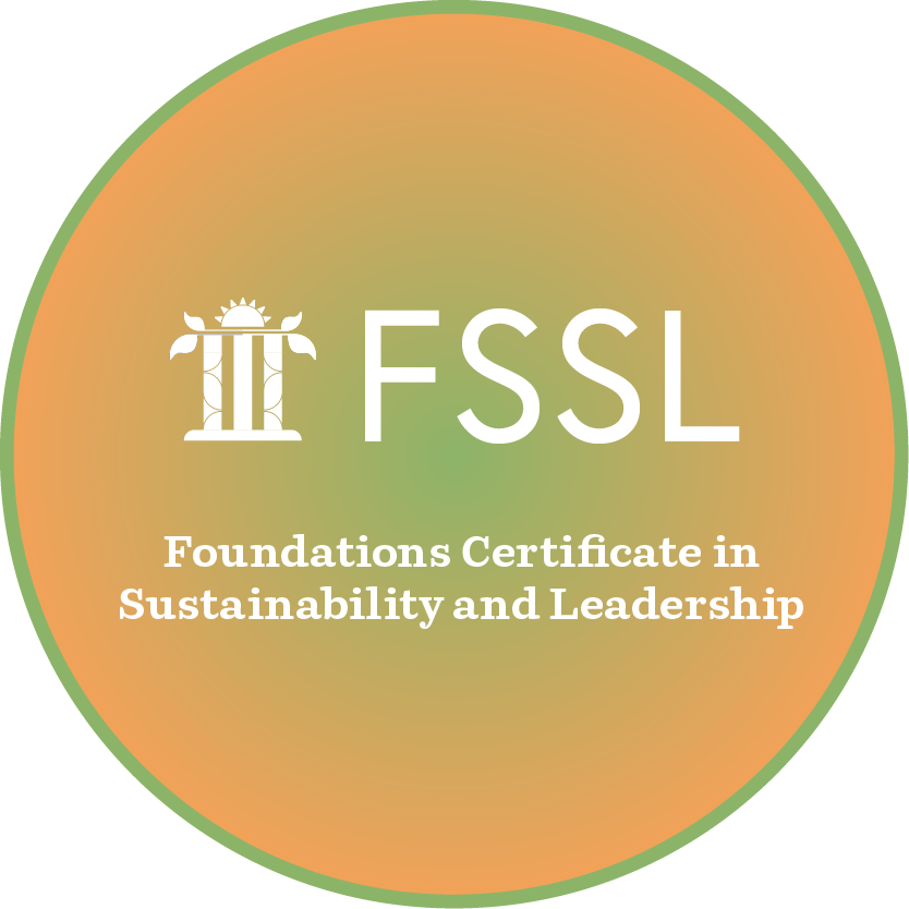 Foundations Certificate in Sustainability and Leadership