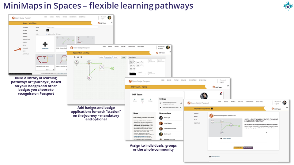 MiniMaps in Spaces - flexible learning pathways